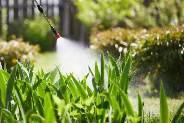 24/7 Emergency Cockroach Control experts in Springfield, OH