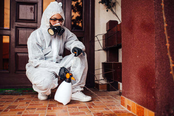 Reliable Cockroach Control contractor in Springfield, OH by Nex Pest Control