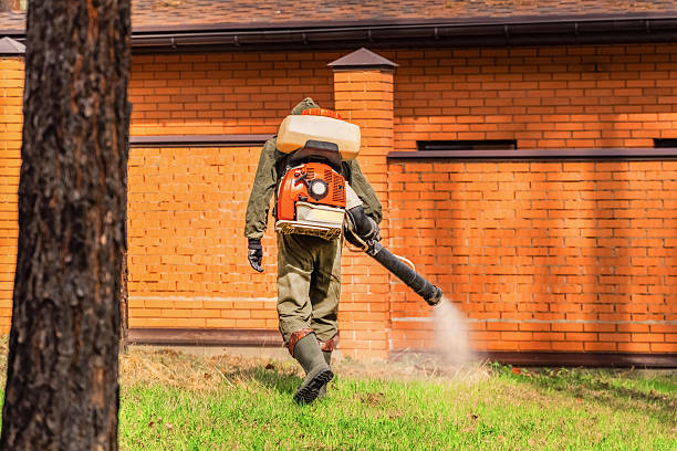 Top rated local Cockroach Control specialists in Springfield, OH